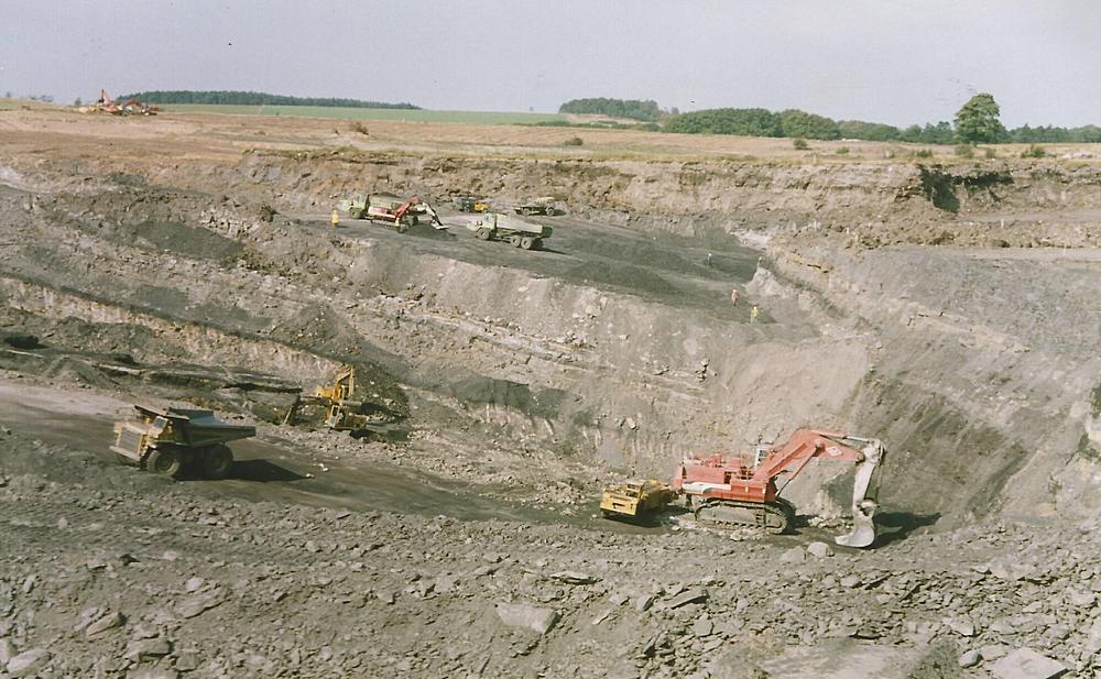 Mining in 1993